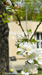 Mobile Screenshot of nkkozpontiovi.hu